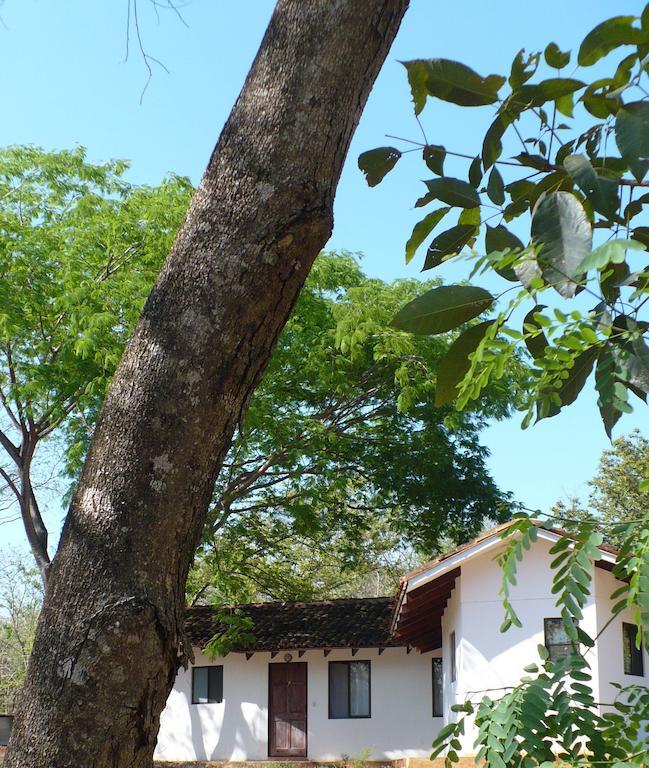 Finca Buena Fuente Residence Hotel Nicoya Exteriér fotografie