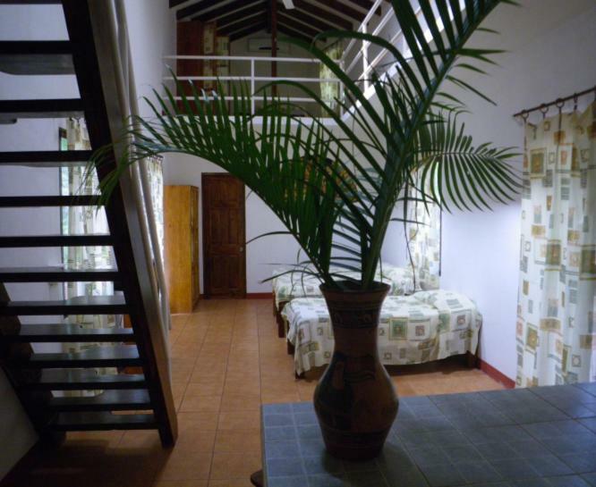Finca Buena Fuente Residence Hotel Nicoya Exteriér fotografie
